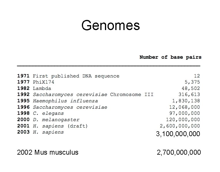 Genomes 3, 100, 000 2002 Mus musculus 2, 700, 000 