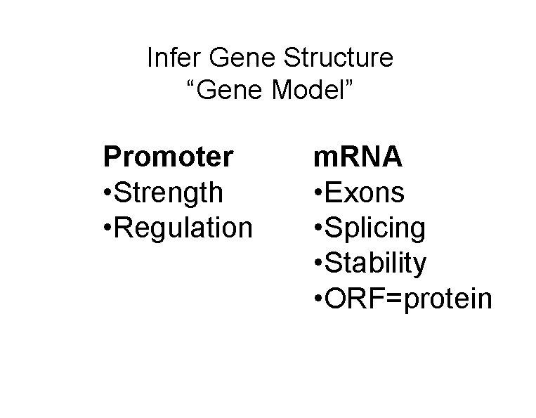 Infer Gene Structure “Gene Model” Promoter • Strength • Regulation m. RNA • Exons