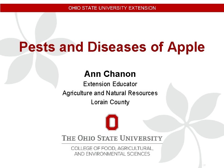 Pests and Diseases of Apple Ann Chanon Extension Educator Agriculture and Natural Resources Lorain