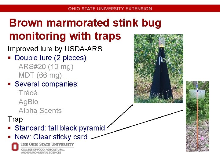 Brown marmorated stink bug monitoring with traps Improved lure by USDA-ARS § Double lure
