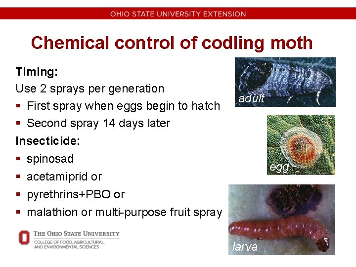 Chemical control of codling moth Timing: Use 2 sprays per generation § First spray