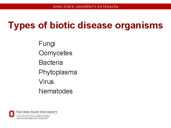 Types of biotic disease organisms Fungi Oomycetes Bacteria Phytoplasma Virus Nematodes 
