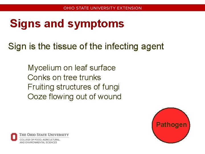 Signs and symptoms Sign is the tissue of the infecting agent Mycelium on leaf