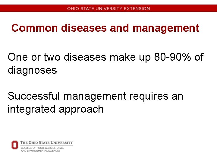 Common diseases and management One or two diseases make up 80 -90% of diagnoses