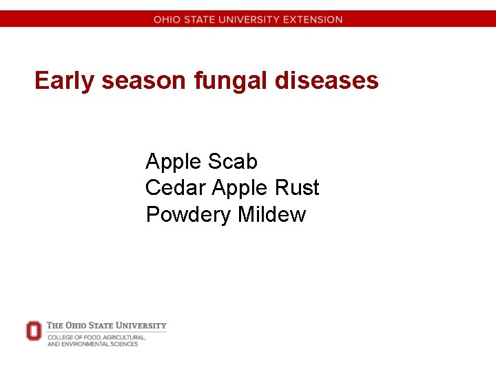 Early season fungal diseases Apple Scab Cedar Apple Rust Powdery Mildew 