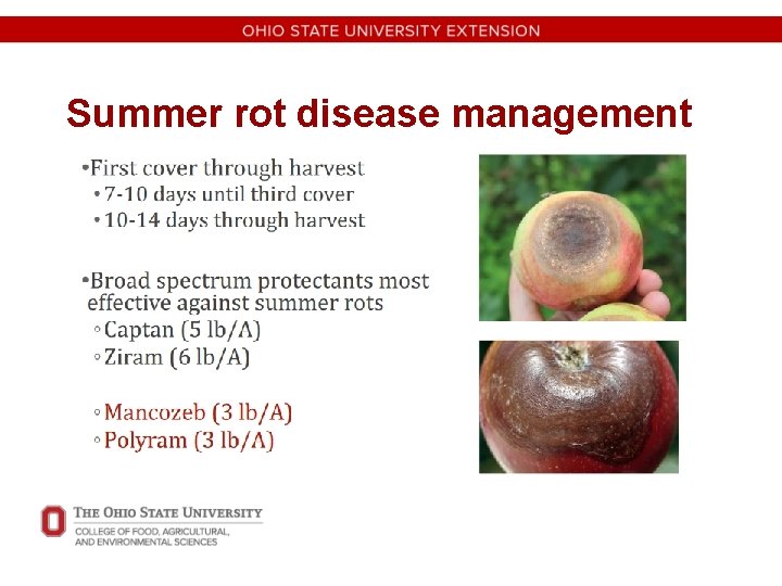 Summer rot disease management 