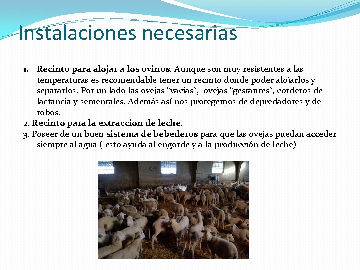 Instalaciones necesarias 1. Recinto para alojar a los ovinos. Aunque son muy resistentes a