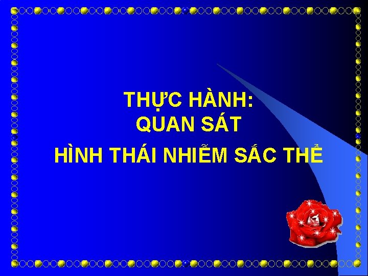 THỰC HÀNH: QUAN SÁT HÌNH THÁI NHIỄM SẮC THỂ 