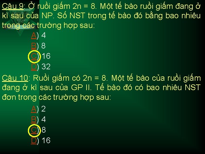 Câu 9: Ở ruồi giấm 2 n = 8. Một tế bào ruồi giấm
