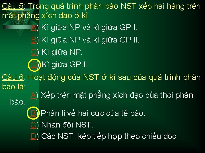 Câu 5: Trong quá trình phân bào NST xếp hai hàng trên mặt phẳng