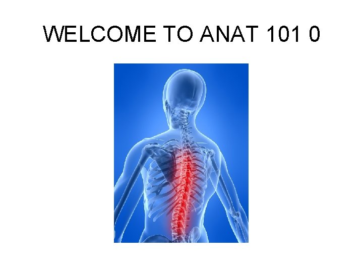 WELCOME TO ANAT 101 0 