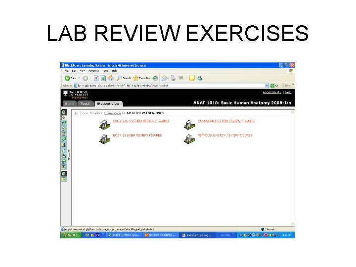 LAB REVIEW EXERCISES 