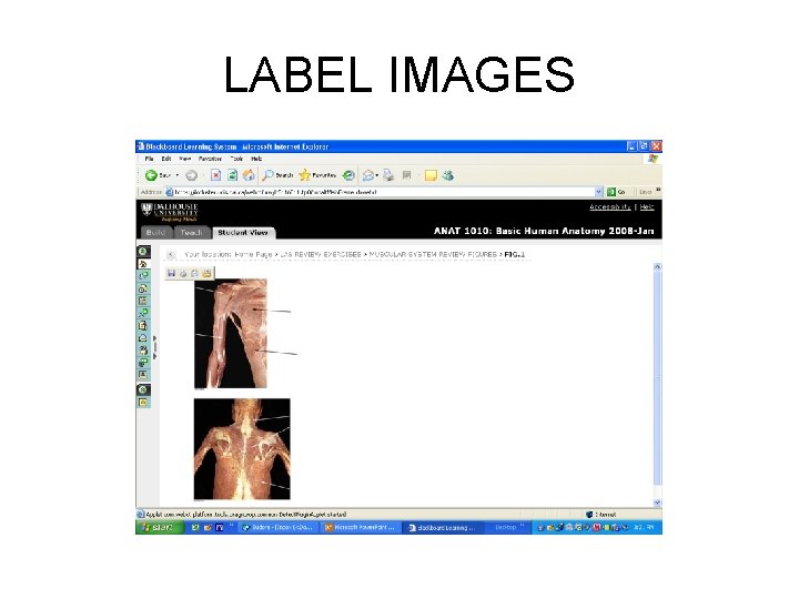 LABEL IMAGES 