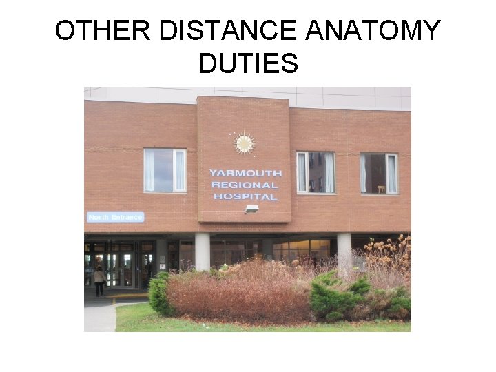 OTHER DISTANCE ANATOMY DUTIES 