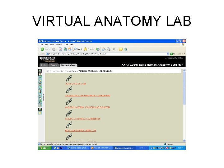 VIRTUAL ANATOMY LAB 
