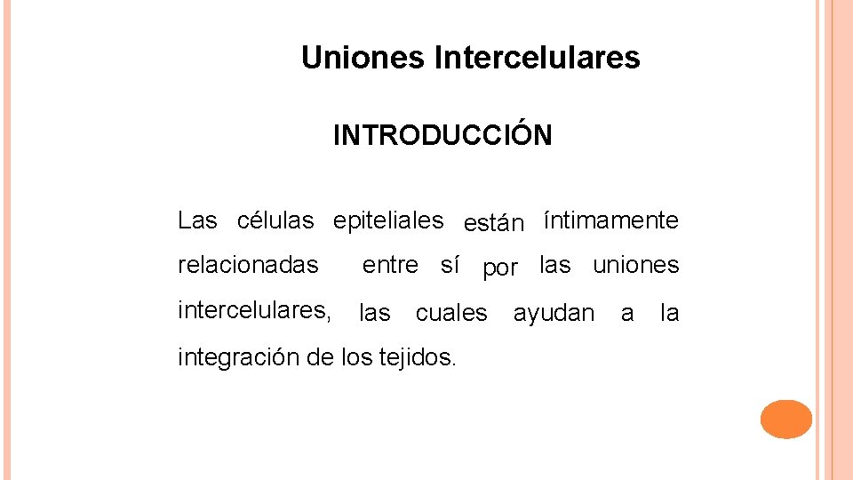 Uniones Intercelulares INTRODUCCIÓN Las células epiteliales están íntimamente relacionadas entre sí por las uniones