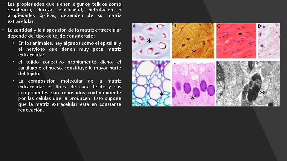  • Las propiedades que tienen algunos tejidos como resistencia, dureza, elasticidad, hidratación o