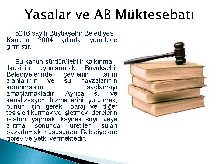 Yasalar ve AB Müktesebatı 5216 sayılı Büyükşehir Belediyesi Kanunu 2004 yılında yürürlüğe girmiştir. Bu