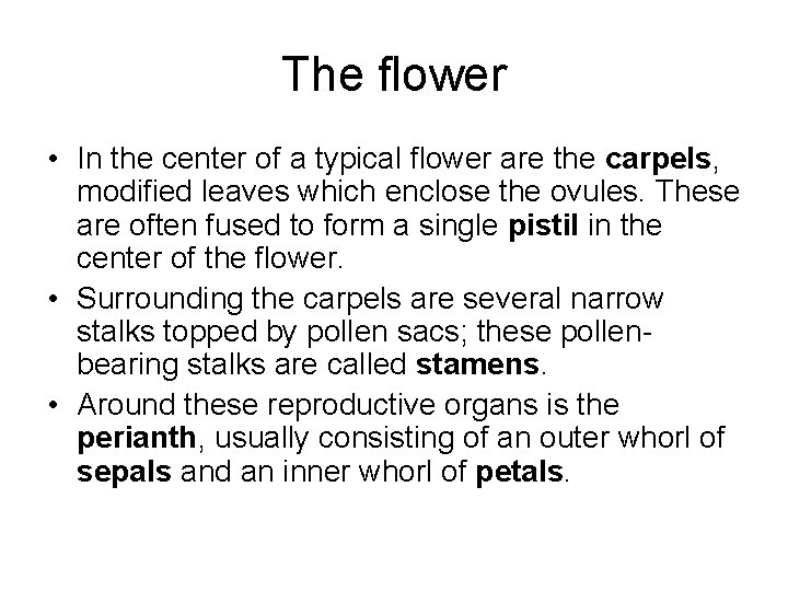 The flower • In the center of a typical flower are the carpels, modified