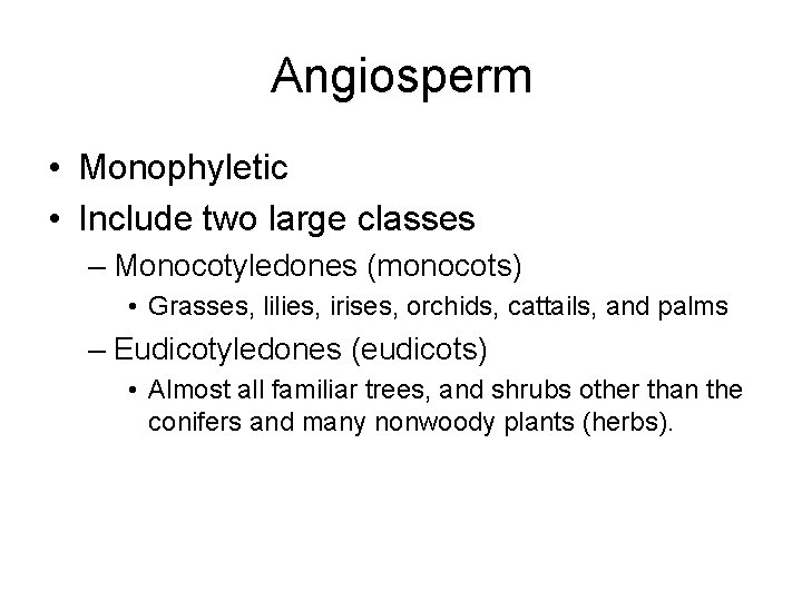 Angiosperm • Monophyletic • Include two large classes – Monocotyledones (monocots) • Grasses, lilies,