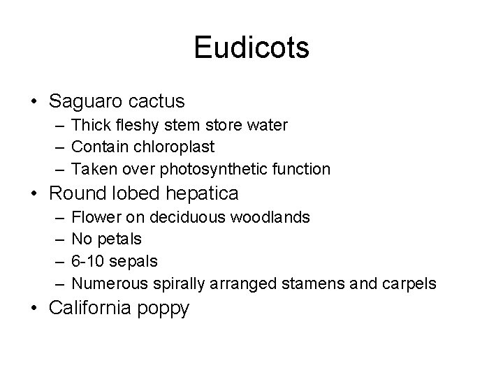 Eudicots • Saguaro cactus – Thick fleshy stem store water – Contain chloroplast –