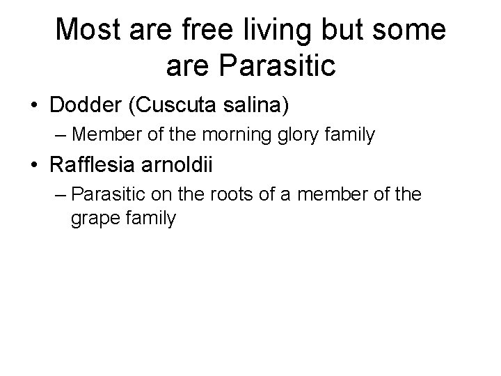 Most are free living but some are Parasitic • Dodder (Cuscuta salina) – Member