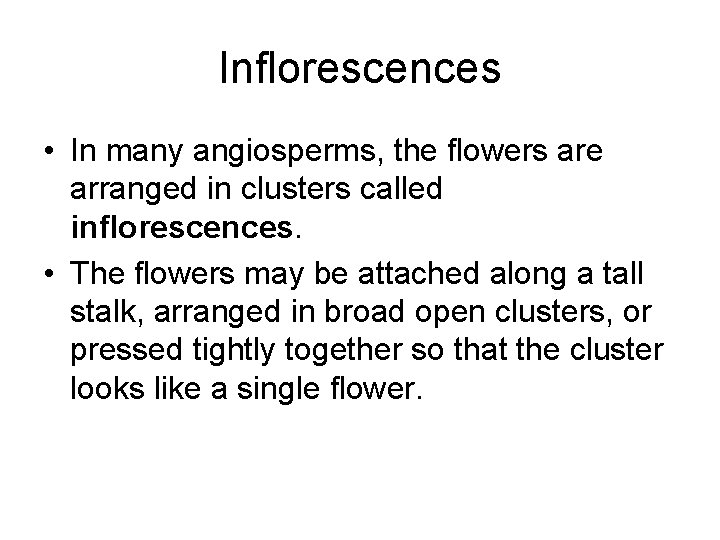 Inflorescences • In many angiosperms, the flowers are arranged in clusters called inflorescences. •