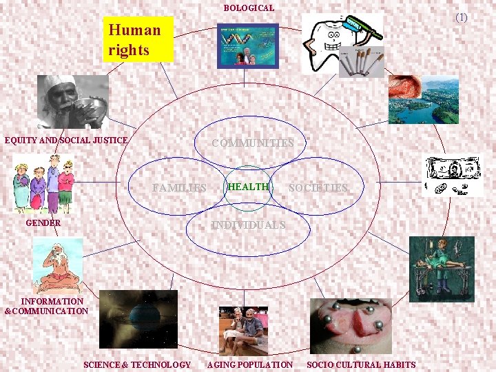 BOLOGICAL (1) Human rights EQUITY AND SOCIAL JUSTICE COMMUNITIES FAMILIES GENDER HEALTH SOCIETIES INDIVIDUALS