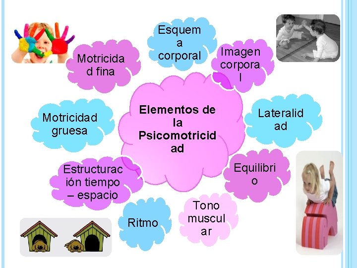 Motricida d fina Motricidad gruesa Esquem a corporal Imagen corpora l Elementos de la