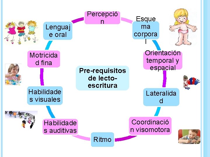 Lenguaj e oral Motricida d fina Habilidade s visuales Percepció n Pre-requisitos de lectoescritura