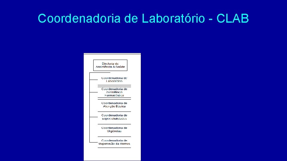 Coordenadoria de Laboratório - CLAB 