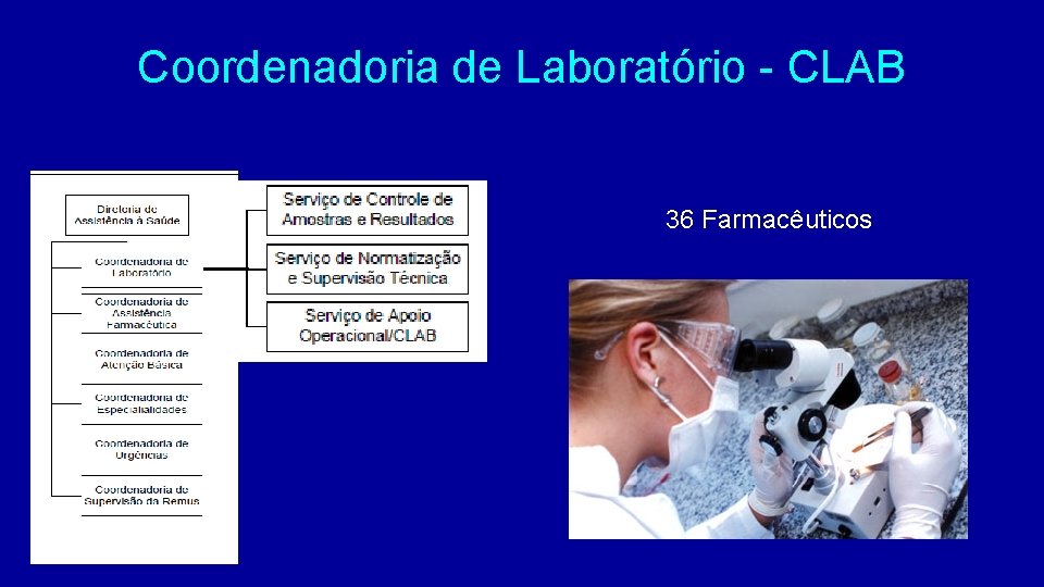 Coordenadoria de Laboratório - CLAB 36 Farmacêuticos 