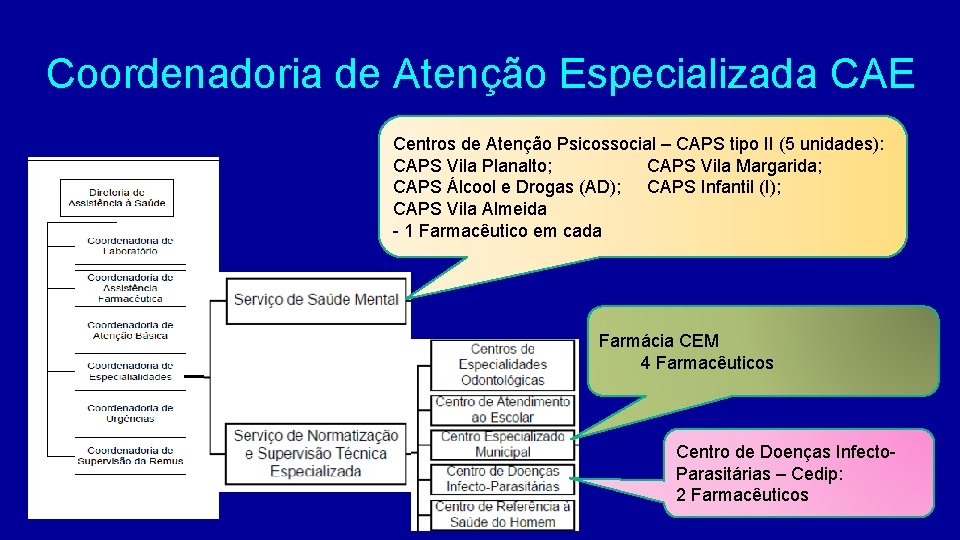 Coordenadoria de Atenção Especializada CAE Centros de Atenção Psicossocial – CAPS tipo II (5