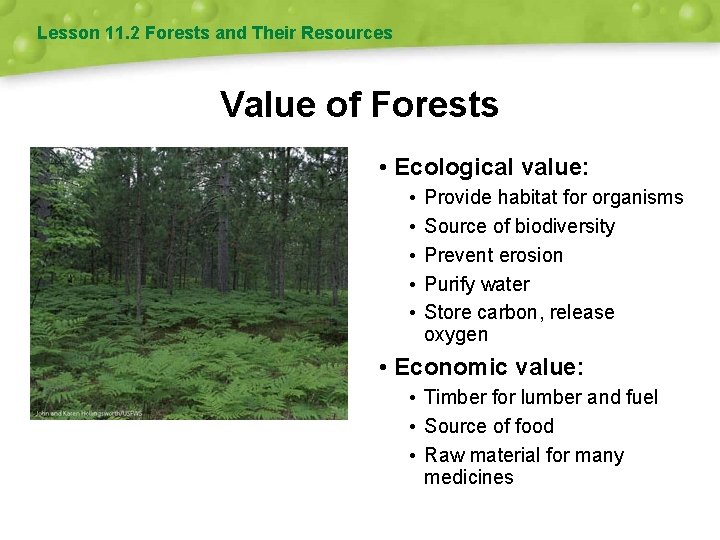 Lesson 11. 2 Forests and Their Resources Value of Forests • Ecological value: •