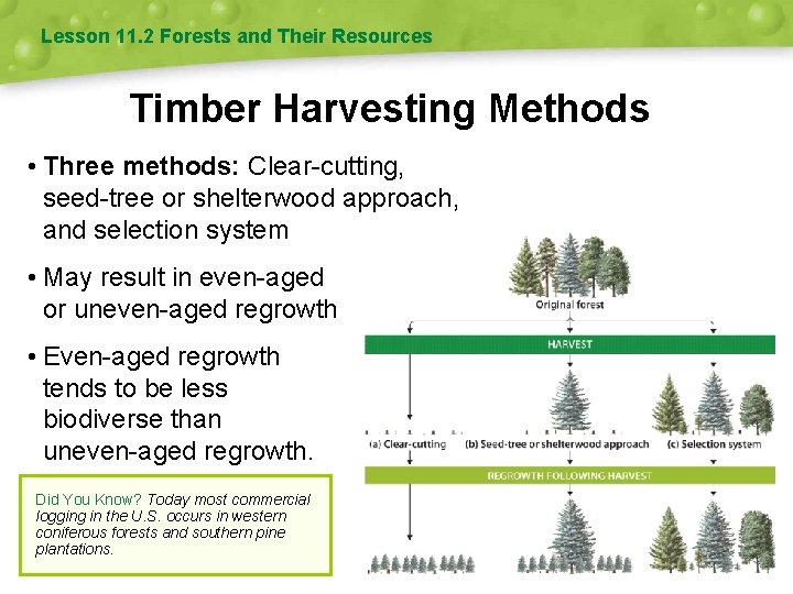 Lesson 11. 2 Forests and Their Resources Timber Harvesting Methods • Three methods: Clear-cutting,