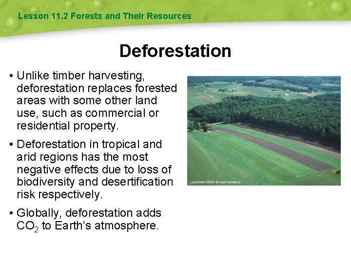 Lesson 11. 2 Forests and Their Resources Deforestation • Unlike timber harvesting, deforestation replaces