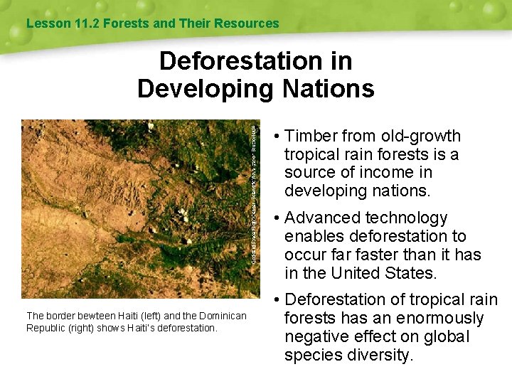 Lesson 11. 2 Forests and Their Resources Deforestation in Developing Nations • Timber from