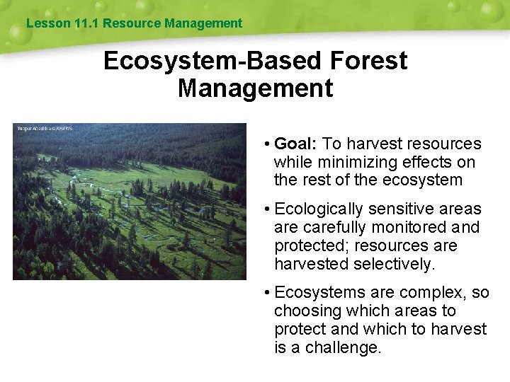 Lesson 11. 1 Resource Management Ecosystem-Based Forest Management • Goal: To harvest resources while
