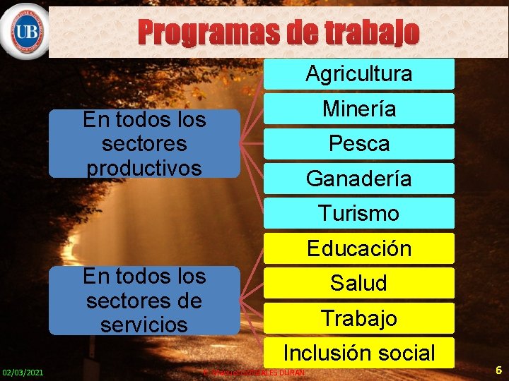 Programas de trabajo Agricultura Minería En todos los sectores productivos Pesca Ganadería Turismo Educación