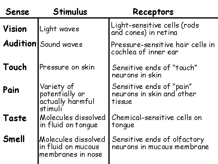 Sense Vision Stimulus Light waves Audition Sound waves Receptors Light-sensitive cells (rods and cones)