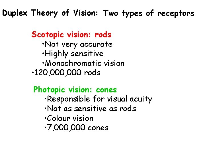Duplex Theory of Vision: Two types of receptors Scotopic vision: rods • Not very