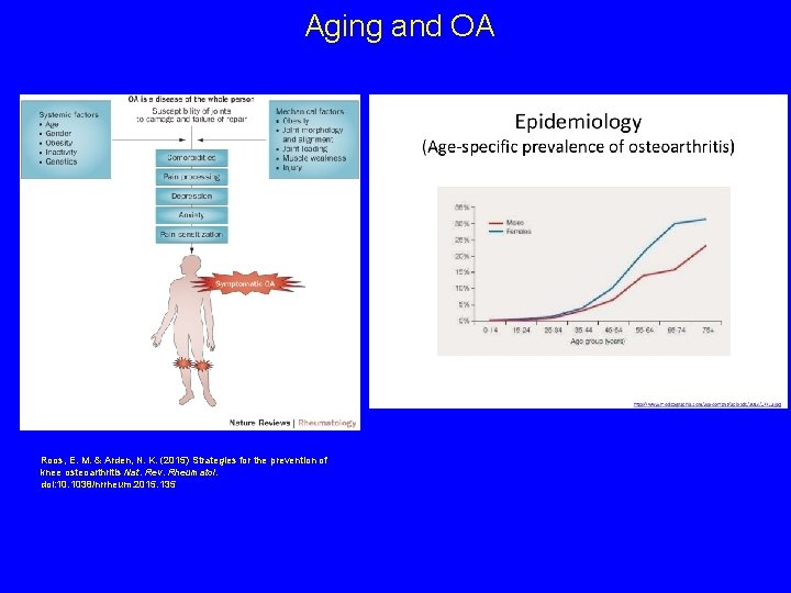  Aging and OA Roos, E. M. & Arden, N. K. (2015) Strategies for
