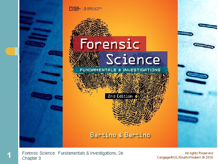 1 Forensic Science: Fundamentals & Investigations, 2 e Chapter 3 All rights Reserved Cengage/NGL/South-Western 1 Forensic Science: Fundamentals & Investigations, 2 e Chapter 3 All rights Reserved Cengage/NGL/South-Western