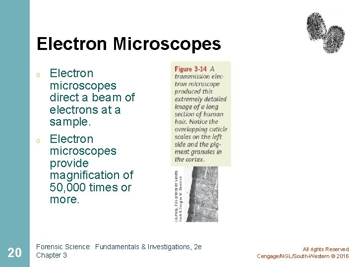 Electron Microscopes o o 20 Electron microscopes direct a beam of electrons at a Electron Microscopes o o 20 Electron microscopes direct a beam of electrons at a