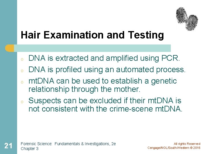 Hair Examination and Testing o o 21 DNA is extracted and amplified using PCR. Hair Examination and Testing o o 21 DNA is extracted and amplified using PCR.