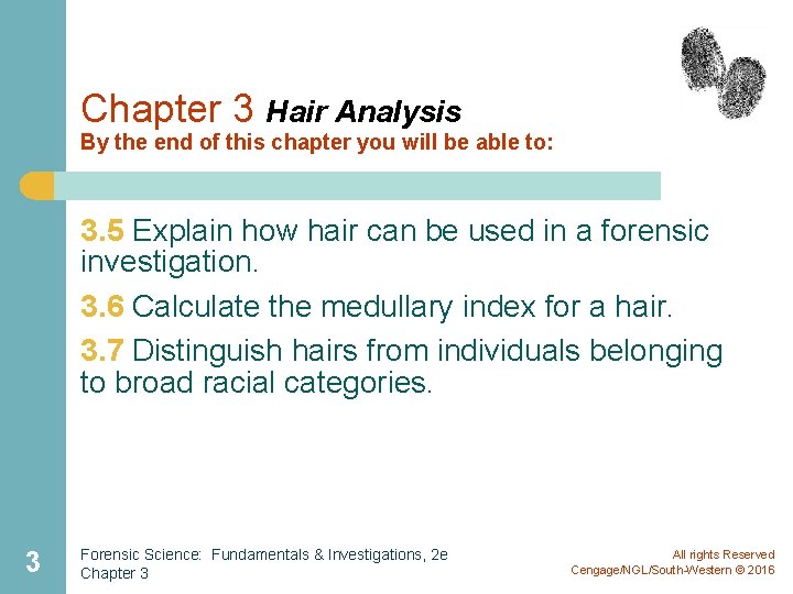 Chapter 3 Hair Analysis By the end of this chapter you will be able Chapter 3 Hair Analysis By the end of this chapter you will be able