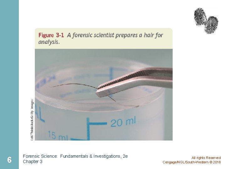 6 Forensic Science: Fundamentals & Investigations, 2 e Chapter 3 All rights Reserved Cengage/NGL/South-Western 6 Forensic Science: Fundamentals & Investigations, 2 e Chapter 3 All rights Reserved Cengage/NGL/South-Western