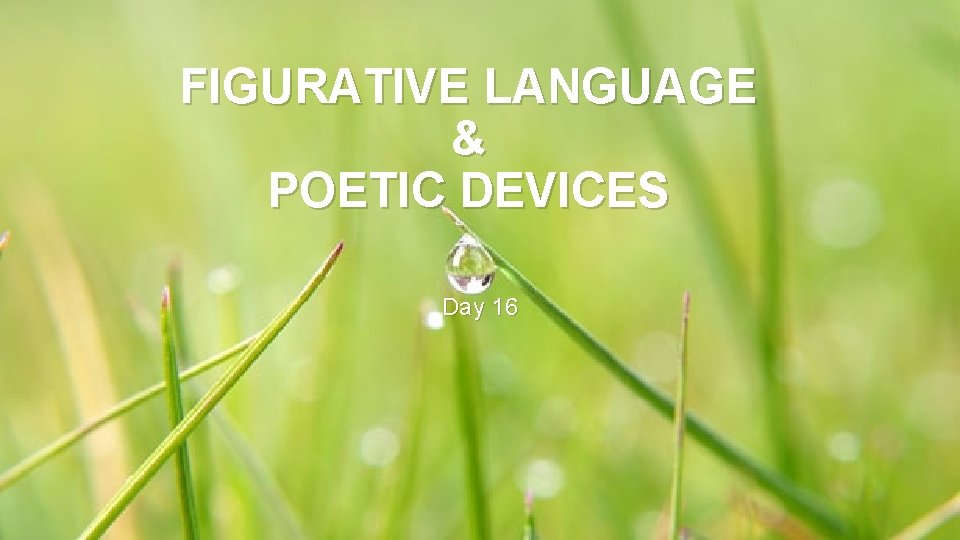 FIGURATIVE LANGUAGE & POETIC DEVICES Day 16 