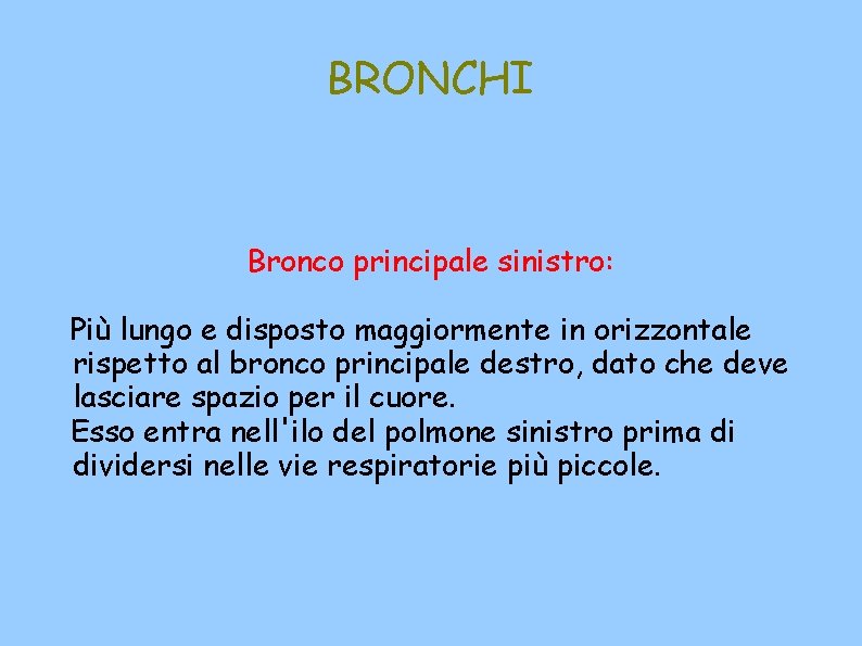 BRONCHI Bronco principale sinistro: Più lungo e disposto maggiormente in orizzontale rispetto al bronco