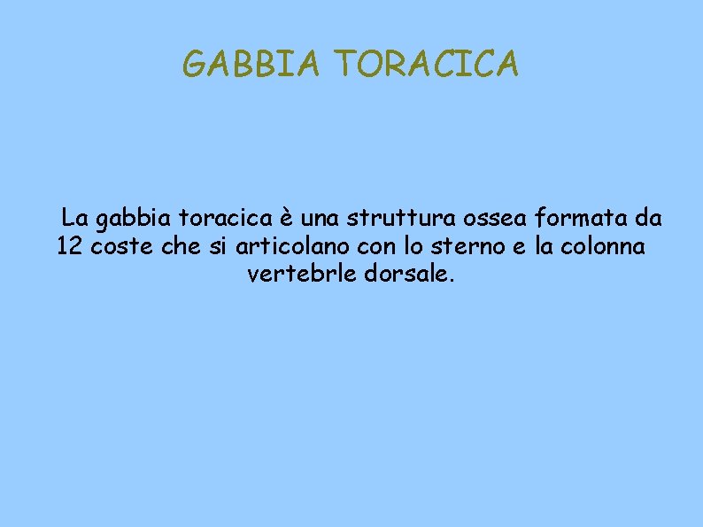 GABBIA TORACICA La gabbia toracica è una struttura ossea formata da 12 coste che